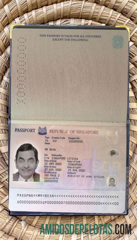 Singapore Pass (2006 2017) Visual fotográfico modelo